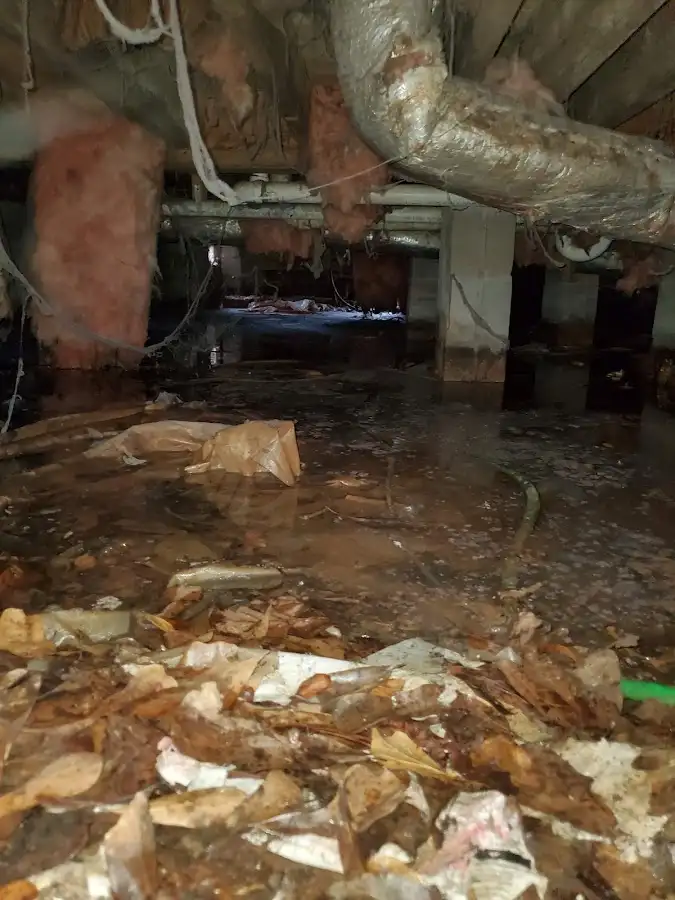 Crawl space flood assessment for Commercial Water Damage Restoration in San Elizario