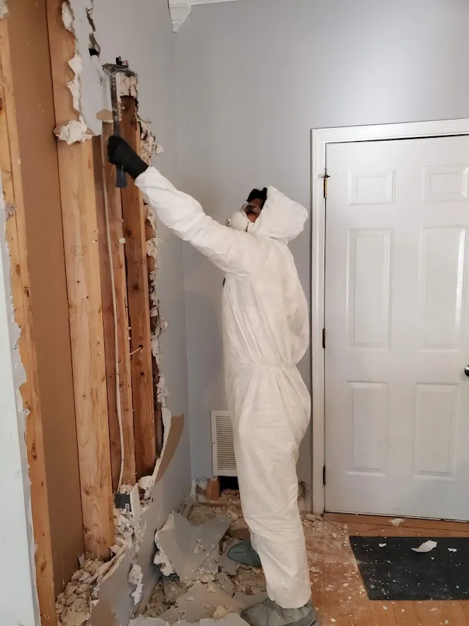 Water Damage Restoration services in San Elizario, TX